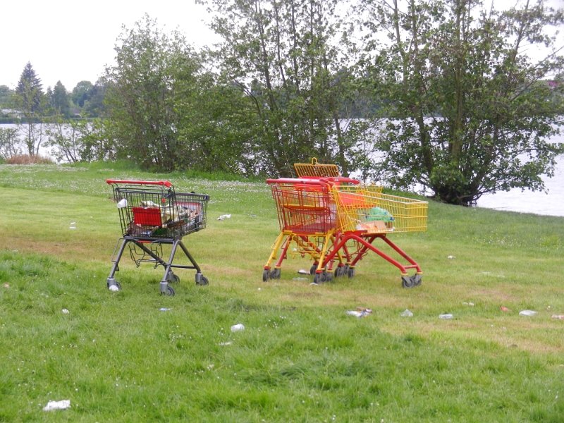 DSCN6921.JPG - Überall liegen zerschlagen Bierflaschen und Müll... Nicht gerade schön!Zum Glück dürfen keine Hunde o.ä. auf die Liegewiese!!!