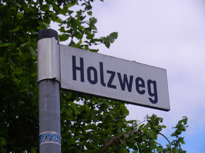 DSCN6927.JPG - Sind wir auf dem Holzweg???