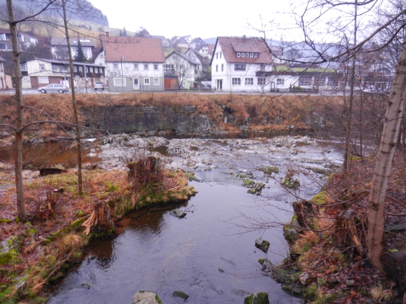 DSCN4413.JPG - Direkt am Stellplatz fliessen Forbach und Murg zusammen.