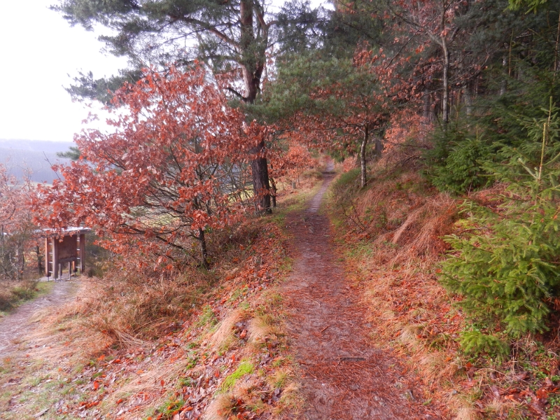 DSCN4439.JPG - Links im Bild ist das Murgleiterportal zu erkennen, hier beginnt dieser Premium-Wanderweg.