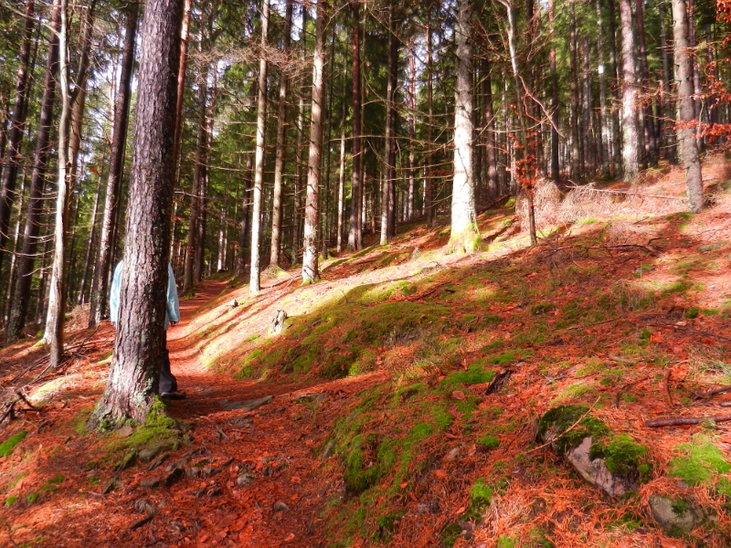 DSCN4440.JPG - Steil geht's immer weiter den Berg hoch.