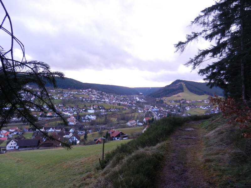 DSCN4483.JPG - Blick über Baiersbronn.