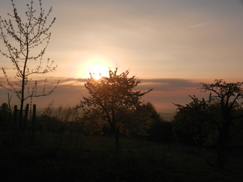 DSCN6113.JPG - Am nächsten Morgen um halb Acht geht die Sonne auf.