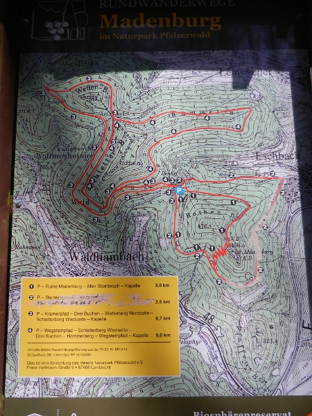 DSCN6142.JPG - Auf einem großen Wanderparkplatz im Wald entdecken wir eine Karte mit den lokalen Rundwanderwegen.