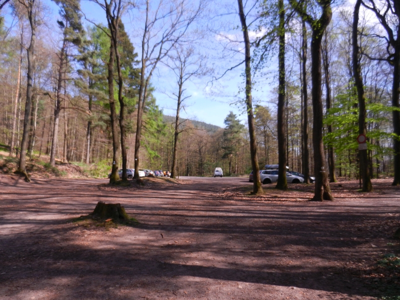 DSCN6146.JPG - Achja, das ist der große Parkplatz unterhalb der Burg. Hier könnte man doch evtl. auch mit dem Womo... QUATSCH! Bin ich blöd... Hier ist es voll doof und hässlich und laut und überhaupt!!!Nicht so wie auf dem übervollen Platz in Dörrenbach.