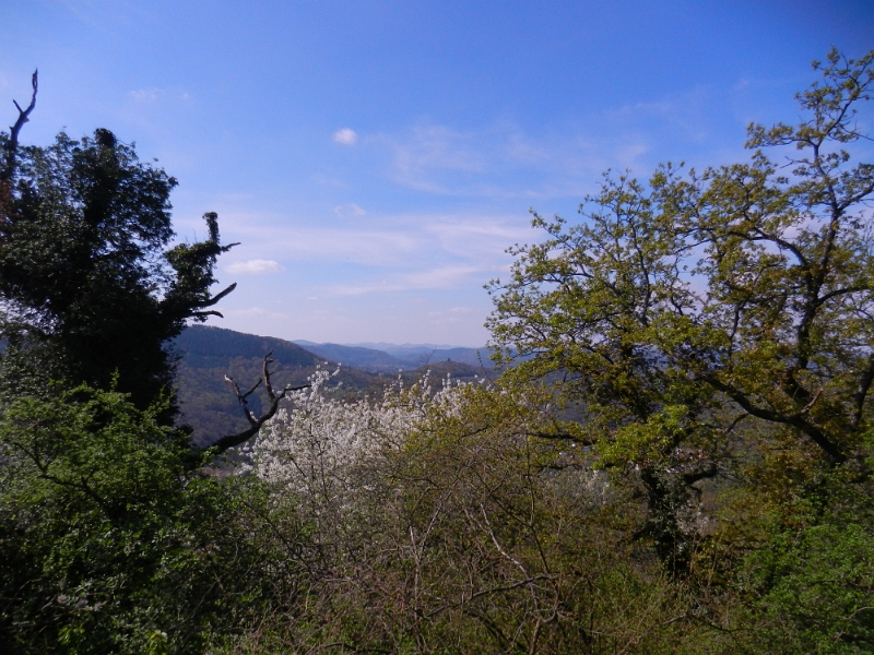 DSCN6156.JPG - Wow, von hier oben hat man einen sagenhaften Ausblick.