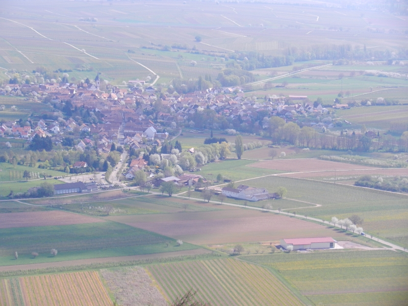 DSCN6178.JPG - Das ist Göcklingen von oben.