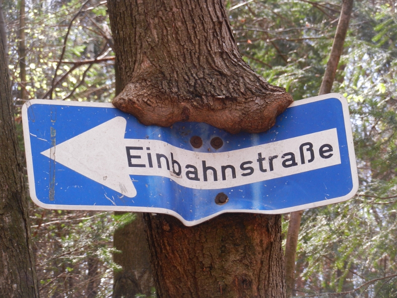 DSCN6182.JPG - Wow, das ist ja mal echt der Hammer! Das Schild steht mitten im Wald!?!?