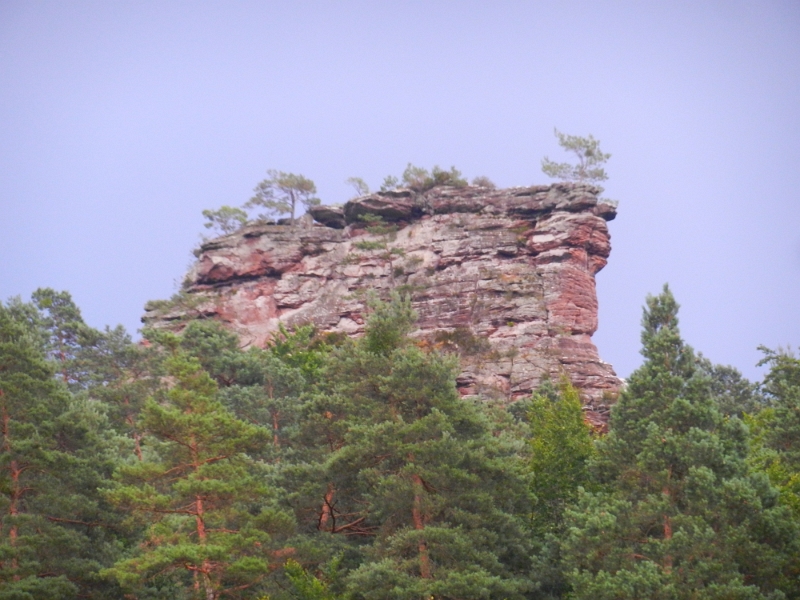 DSCN8817.JPG - Über uns entdecken wir bereits einen der unzähligen Felsen hier.