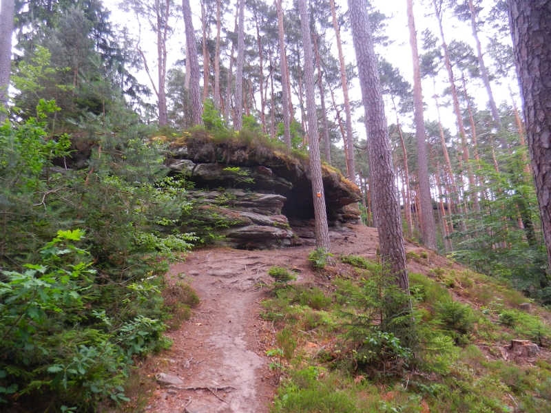 DSCN8838.JPG - Kaum sind wir aus dem Ort heraus laufen wir auf traumhaften Pfaden durch den Wald.