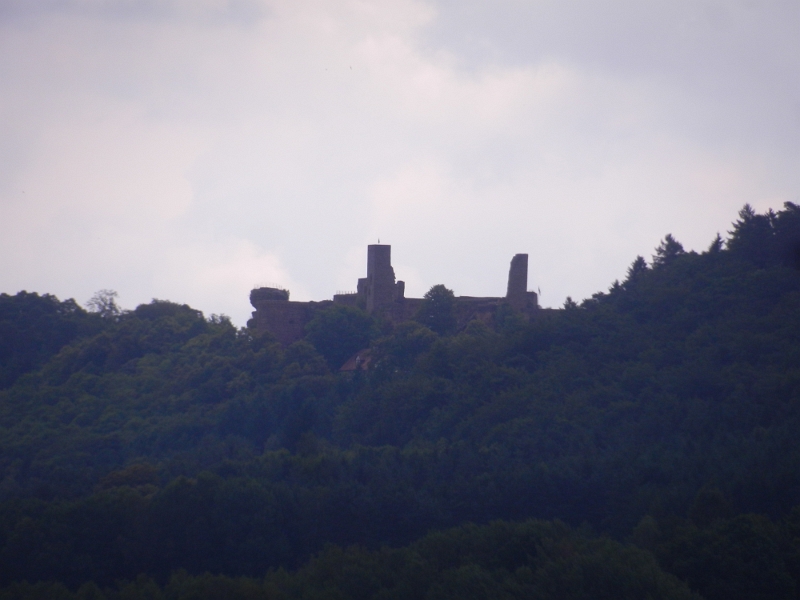 DSCN8859.JPG - Bin mir nicht ganz sicher, müsste aber die Burgruine Altdahn sein!?