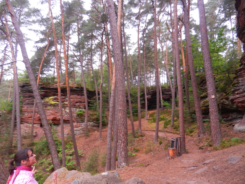 DSCN8870.JPG - Wir erreichen nun die sogenannte Felsarena.