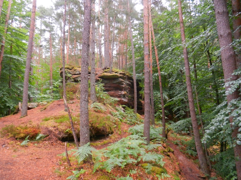 DSCN8902.JPG - Nun laufen wir entlang des "Roßkegelfels".