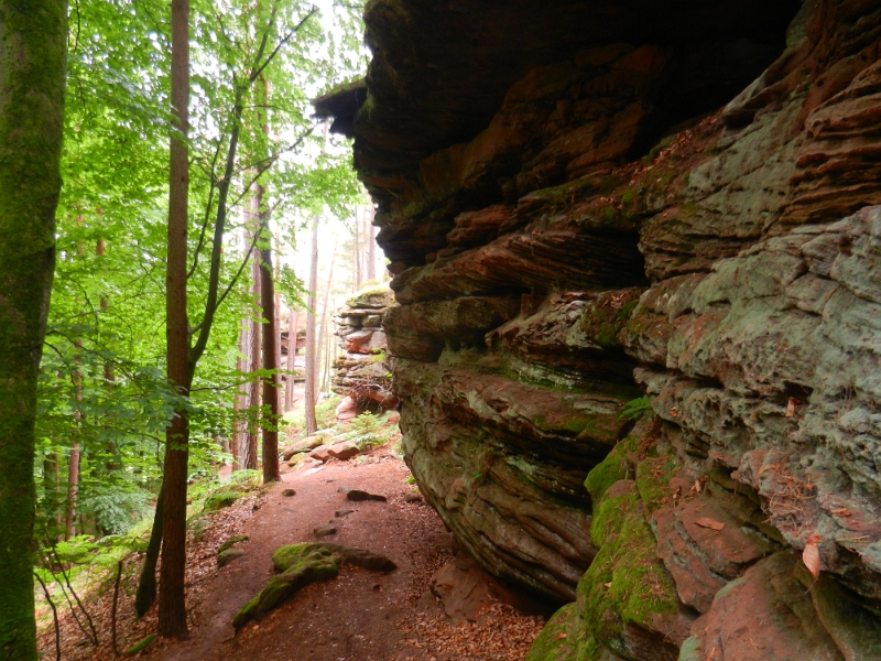 DSCN8903.JPG - Der Roßkegelfels erinnert mich ein wenig an die Altschlossfelsen bei Eppenbrunn.