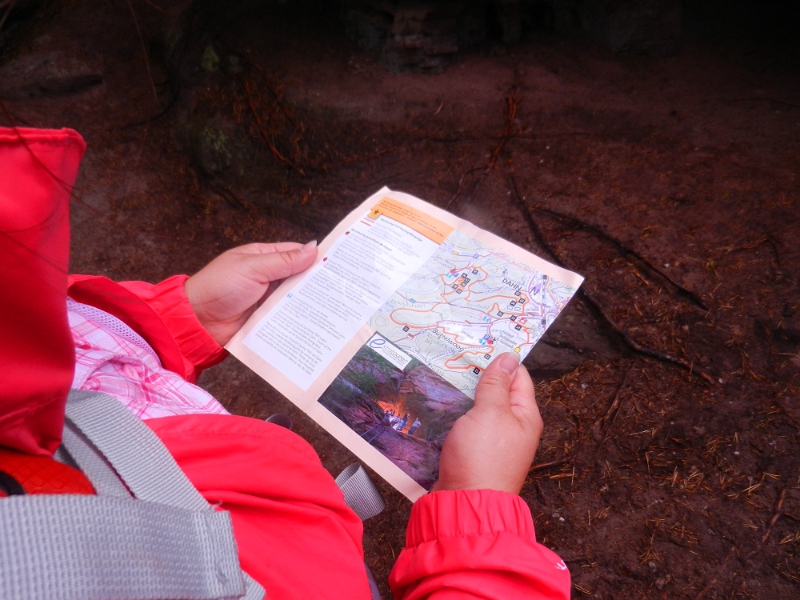 DSCN8912.JPG - Laut Tourguide kommt nun ein längers Stück durch den Wald ohne "Felsen erklimmen".