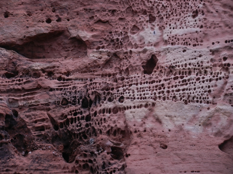 DSCN8945.JPG - Der Sandstein des Lämmerfelsen im Detail.