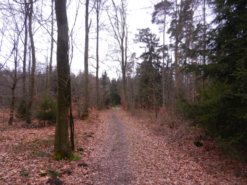 DSCN4781.JPG - Nach einigem Suchen und Minutenlangem kombinieren und grübeln haben wir dann doch den Wanderweg gefunden.Typisch Odenwald, es gibt schlechte oder keine oder tausende verwirrende Symbole auf den Wanderwegen. Wir laufen einfach ein Teilstück einer Nordic-Walking-Runde nach, die führt auch zu unserem Ziel. Mannomann, schaut euch mal die Pfälzer Wanderwege an, dort könnt ihr noch einiges lernen!