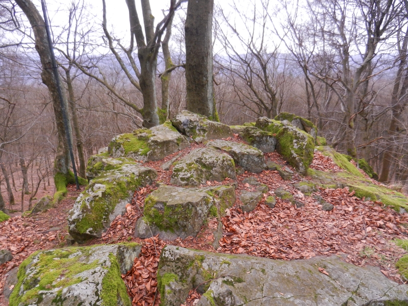 DSCN4820.JPG - Hier besteigen wir den höchsten Punkt des Odenwald's. Der Katzenbuckel ist ein erloschener Vulkan und immerhin 626m hoch!