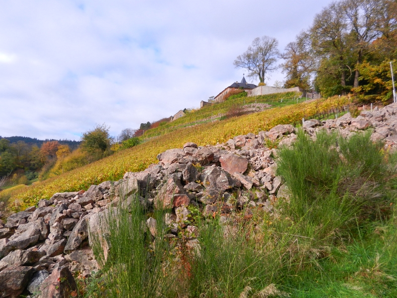 DSCN1401.JPG - Es geht weiter bergauf, hoch zum Schloß Eberstein. Früher war es einmal eine Burg und wurde im 15ten Jahrhundert zum Schloß umgebaut. In "Insiderkreisen" nennt man so etwas "Schlurg" -> Gruß Britta!