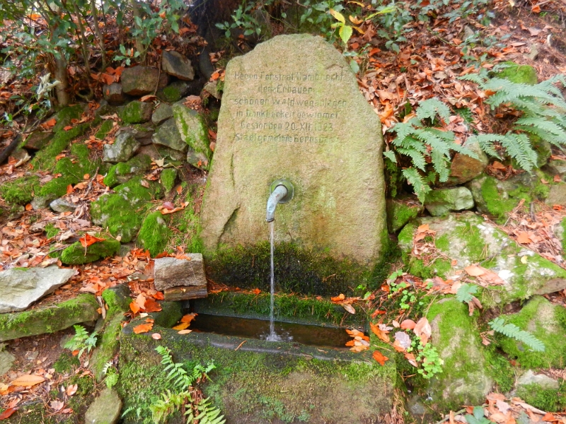 DSCN1421.JPG - Relativ viele Brunnen säumen den Weg. So muss niemand auf der Wanderung verdursten.