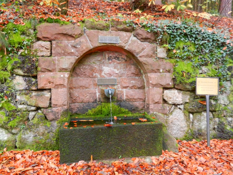 DSCN1425.JPG - Wir laufen nun den Berg hinab um in den historischen Kern von Gernsbach zu kommen. Hierbei kommen wir erneut an einem Trinkwasserbrunnen vorbei.