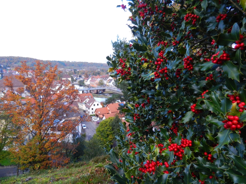 DSCN1434.JPG - Jetzt gehts entgültig runter in den Ort.