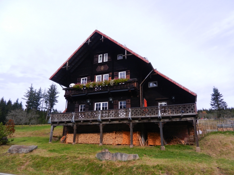 DSCN1478.JPG - ...um in Kaltenbronn halt zu machen. Wir schauen uns das "Infozentrum Kaltenbronn" an und holen Wanderkarten und Infomaterial rund um das Naturschutzgebiert Wildseemoor.