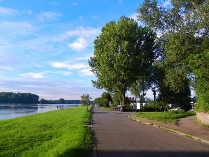 DSCN9058.JPG - Der Stellplatz liegt direkt am Rhein.