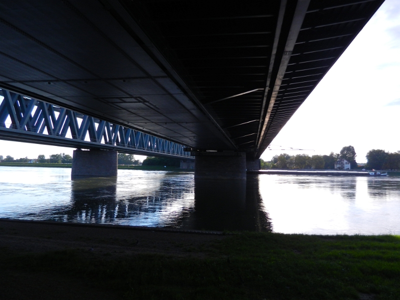 DSCN9059.JPG - Der Verkehr auf der Brücke ist allerdings sehr laut zu hören. Wir kommen uns vor wie auf einem Autobahnrastplatz.