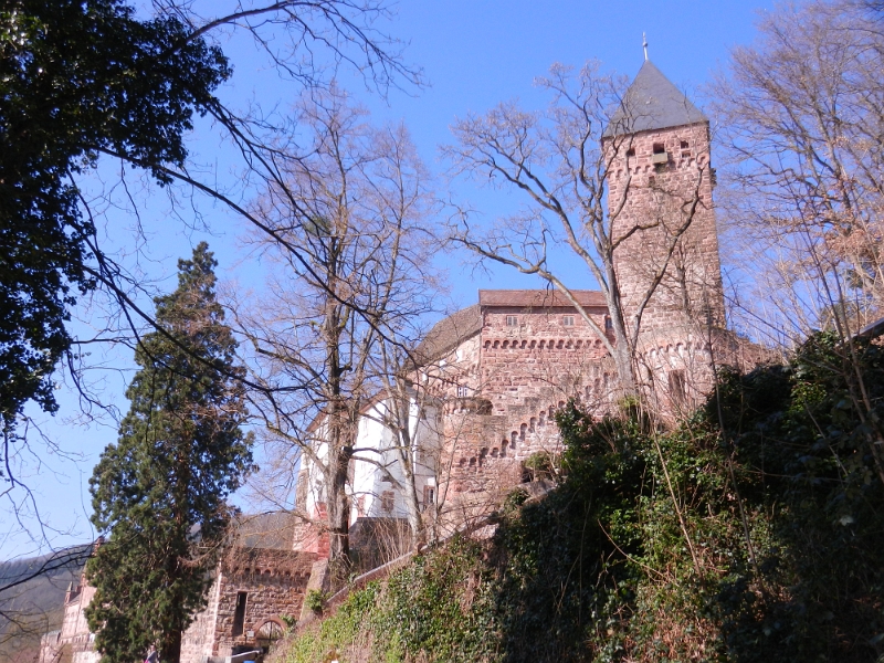 DSCN5701.JPG - An der Burg angekommen.