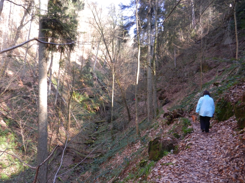 DSCN5724.JPG - Noch sind die Wege aber wie die schönen Trampelpfade im Pfälzer Wald...