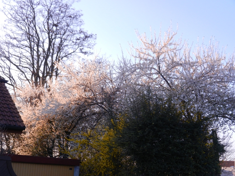 DSCN5775.JPG - Kurz vor 18:00 Uhr sind wir wieder zuhause. Es war eine schöne Wanderung in der Wolfsschlucht, sollte jeder mal besuchen, der dort in der Nähe ist!Grußmic