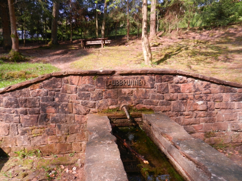 DSCN6240.JPG - Wir kommen am Laubbrunnen an.