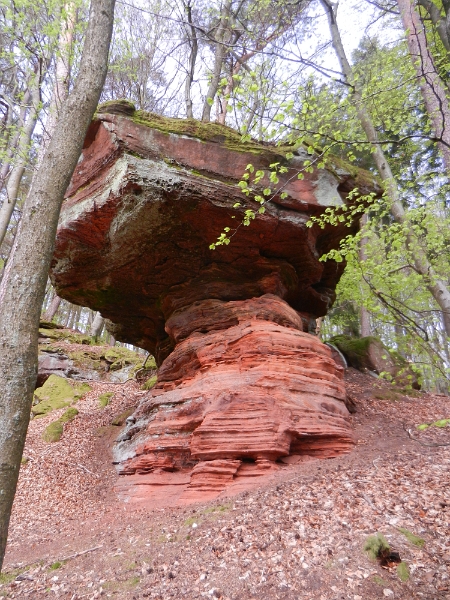 DSCN6248.JPG - Ein "kleiner Teufelstisch"?