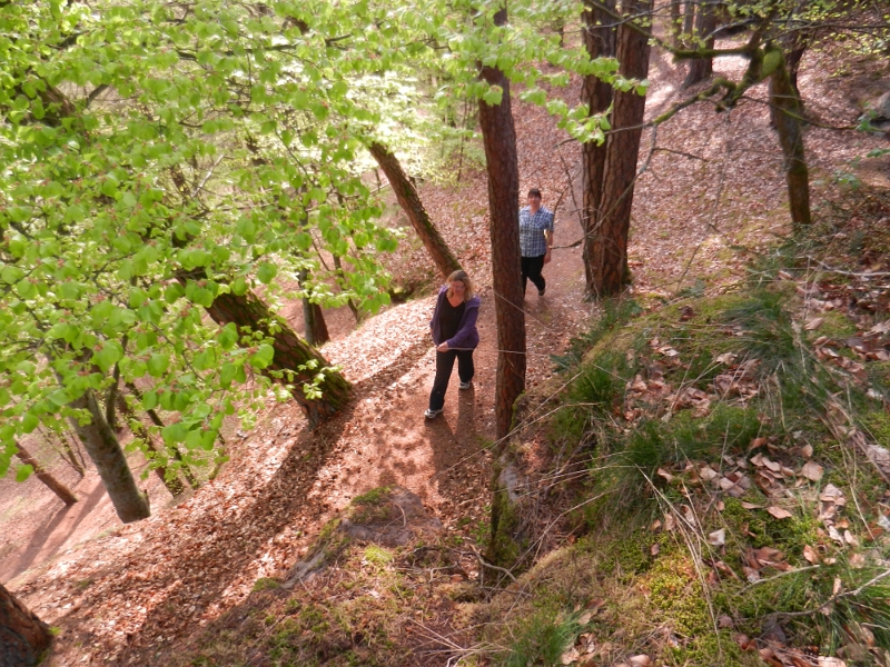 DSCN6283.JPG - Ok, die Mädels laufen lieber drumherum!