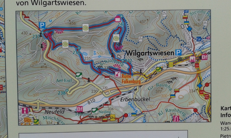 20140712_130215.jpg - Diesen Weg wollen wir laufen. Es handelt sich um den als Premiumweg ausgezeichneten "Wilgartswiesener Biosphären-Pfad".