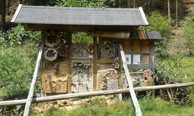 20140712_131851.jpg - Wir haben Glück, das Wetter ist eigentlich ganz Ok zum Wandern.