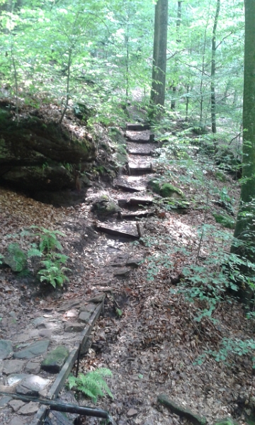 20140712_132504.jpg - Direkt zu beginn geht es dann ordentlich den Berg rauf.