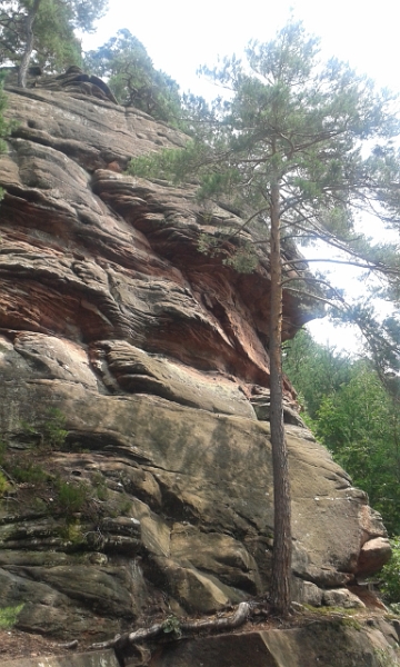 20140712_133410.jpg - Wow, wir erreichen die Deichenwand.