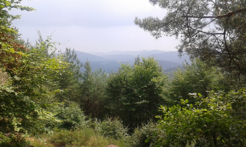 20140712_142135.jpg - Es regnete zwischendurch wie Sau, hier am Wasgaublick haben wir aber Glück und Sonne.