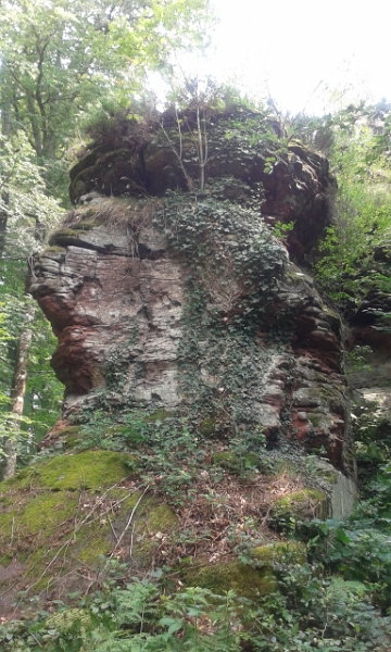 20140712_151353.jpg - ...gehen wir wieder steil den Berg rauf zur Burgruine Falkenstein.