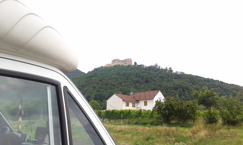 20140713_123037.jpg - In Diedesfeld, unterhalb vom Hambacher Schloß, machen wir erneut einen Zwischenstopp. Hundi muss Gassi gehn.