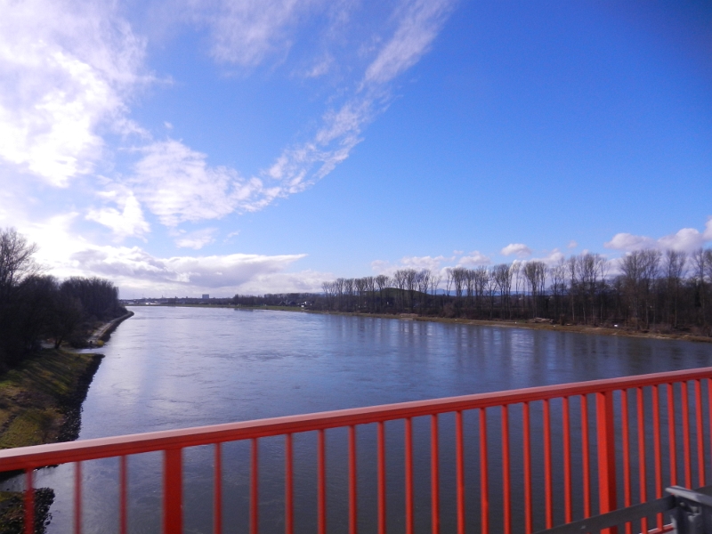 DSCN4916.JPG - Wir überqueren den Rhein bei Speyer und sind wieder in BW.