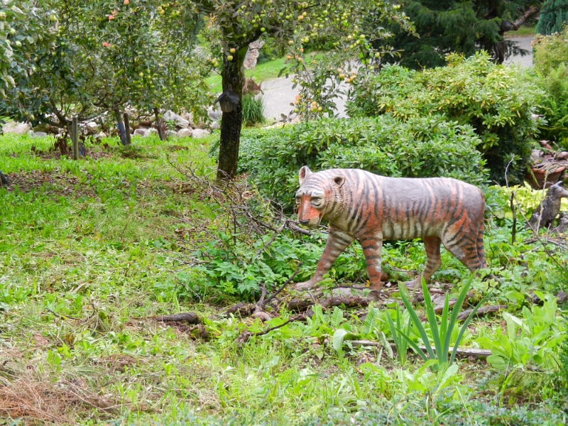 DSCN9284.JPG - Oooohoooo, ein Schwarzwald-Tiger.