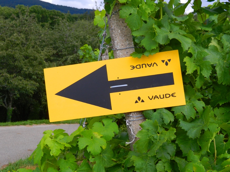 DSCN9296.JPG - Wir laufen entlang der Mountainbike-Strecke der Trans-Schwarzwald.