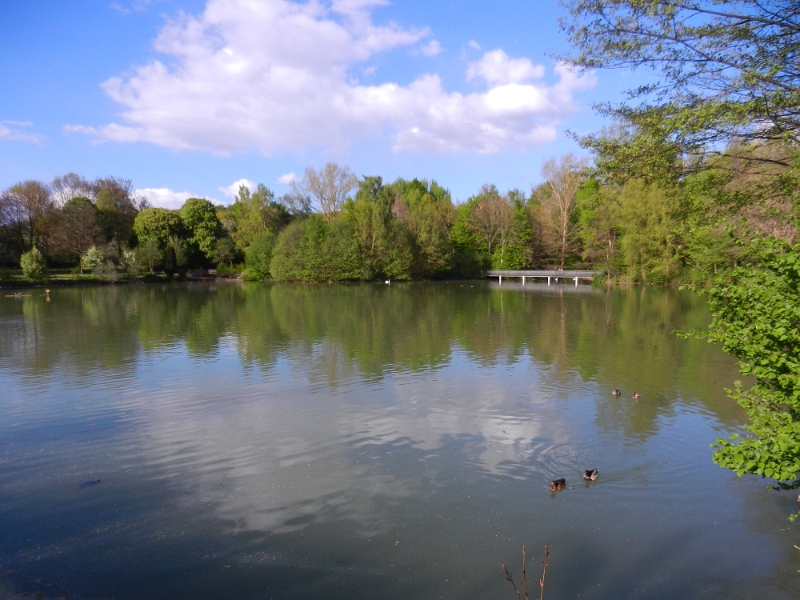 DSCN6373.JPG - Wir nutzen das schöne Wetter und laufen direkt um den See...