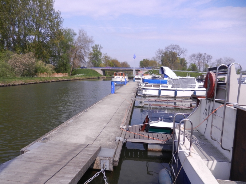 DSCN6525.JPG - Auch interessant ist es, unsere Artverwandten auf dem Wasser zu beobachten. Sind ja quasi Camper im Fluss!?