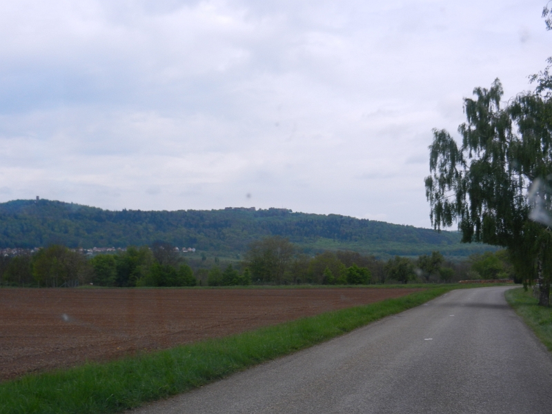 DSCN6639.JPG - Kurz vor Saverne entdecken wir im Hintergrund das Château du Haut-Barr, also die Burg Hohbarr, eine Felsenburgruine.