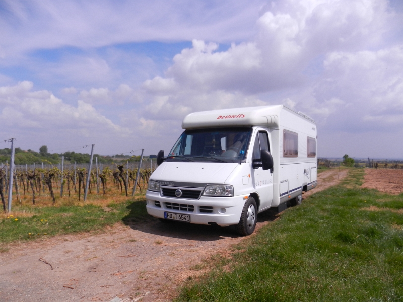 DSCN6711.JPG - Wir nutzen noch ein wenig die Sonne und machen mitten in einem Weinberg PAUSE.