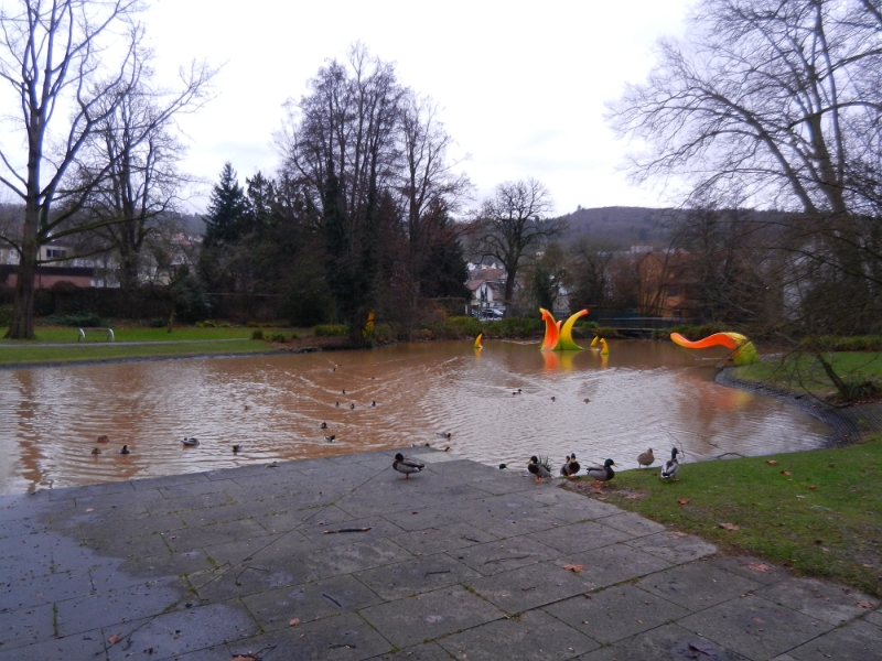 DSCN2062.JPG - Was ist das denn für eine braune Brühe??? Wird wohl wegen dem leichten Hochwasser sein!?